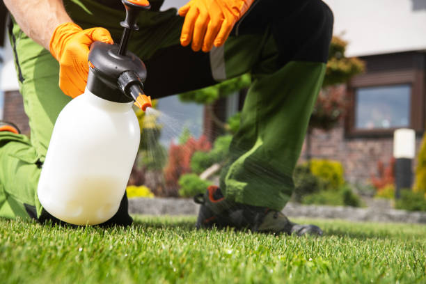 Best Mosquito Control Services  in Garrett, IN