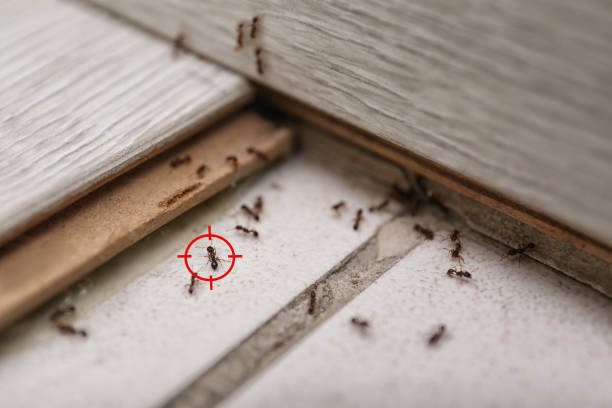 Best Best Pest Control Companies  in Garrett, IN
