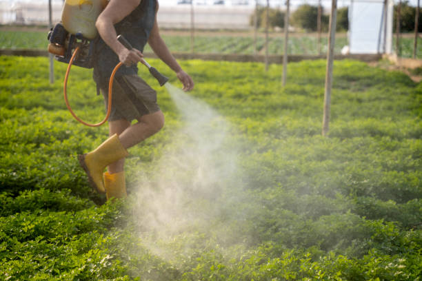 Best Affordable Pest Control Services  in Garrett, IN