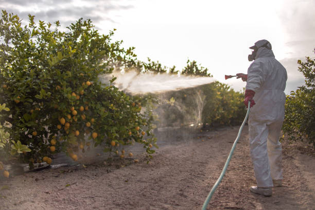 Best Local Pest Control Services  in Garrett, IN