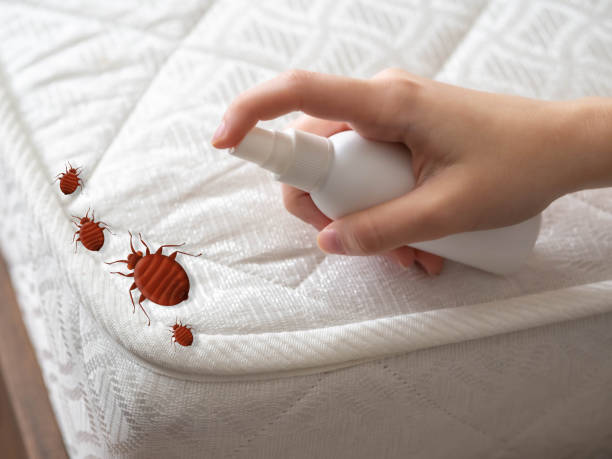Best Local Pest Control Services  in Garrett, IN