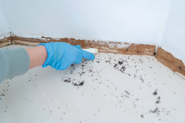 Best Affordable Pest Control Services  in Garrett, IN